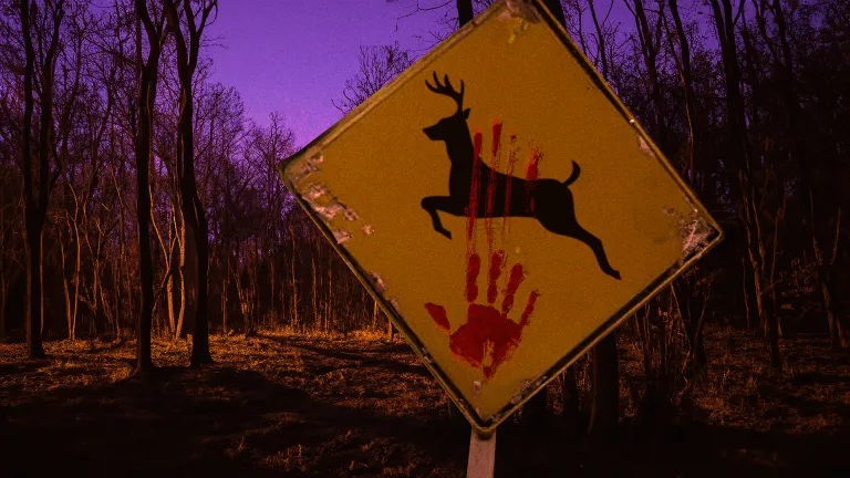 CinematizandoOf's tweet photo. Imagens de Bampire, filme de terror do Bambi que busca financiamento
#Bampire #Bambi
PS: Tudo agora vira filme de terror https://t.co/GHL2yJxFr1