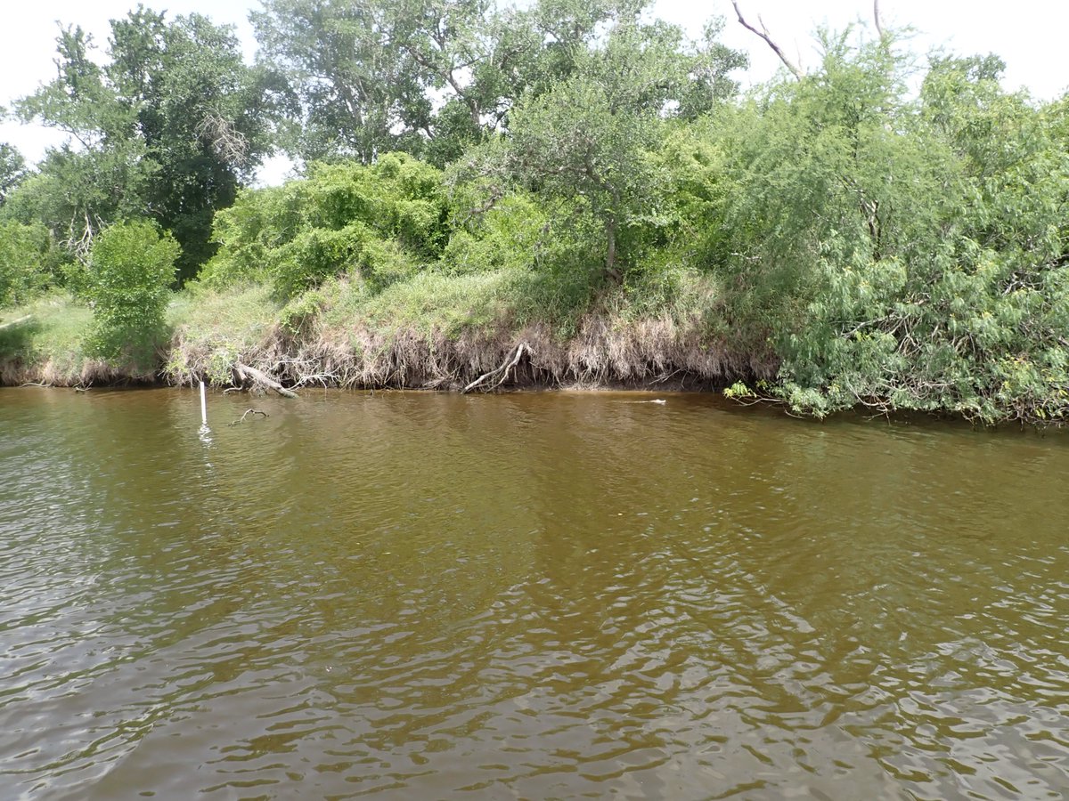Coastal Conservation and Restoration Ecology Lab tweet media