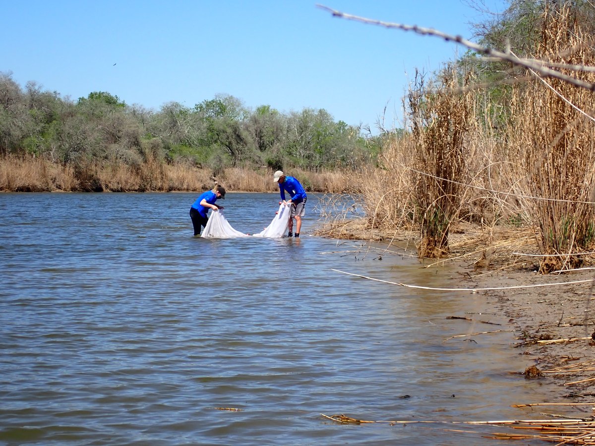 Congratulations to everyone on our team for publishing a new paper titled “Developing a bioassessment framework to inform tidal stream management along a hydrologically variable coast"! 🐟🎉🐊

Check it out here sciencedirect.com/science/articl…!