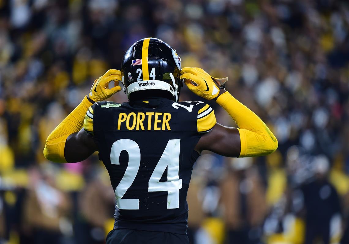 SteelYinzer tweet media