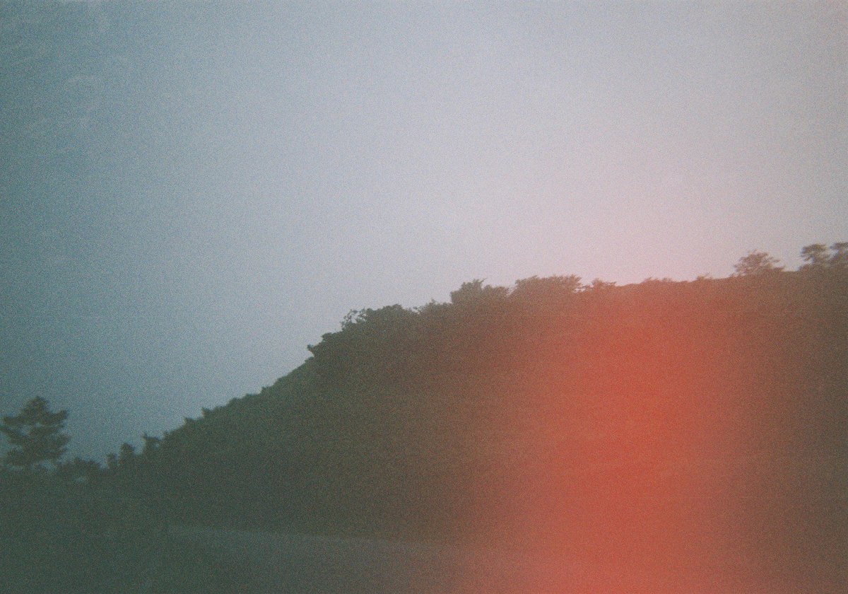 ヌイグモ tweet media