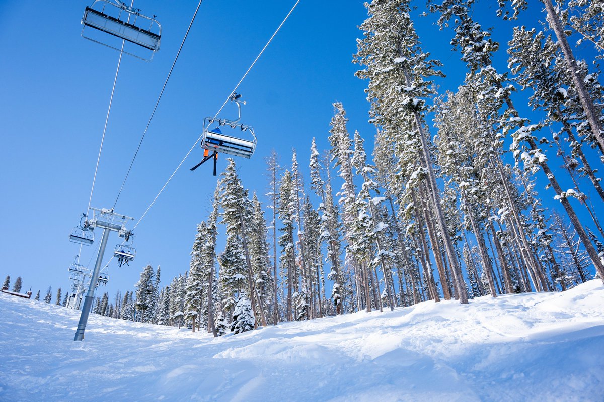 What's better than a pow day? A blue bird pow day ❄ 🐦 #bluebirdday #freshpow #sunvalleystoke