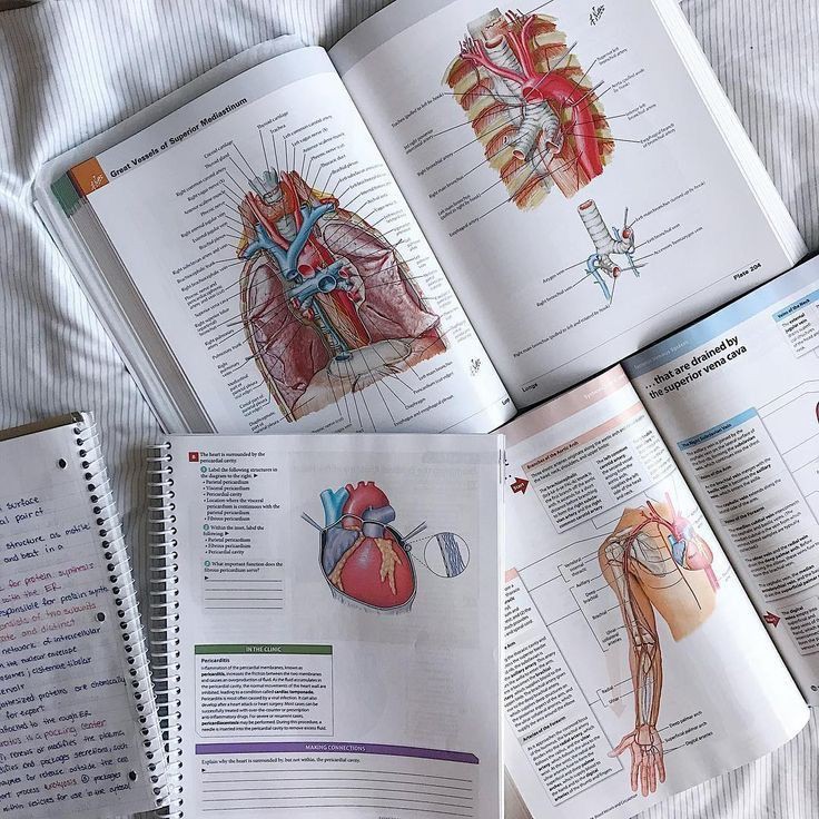 studymedab's tweet image. ⠀ ⠀⠀ ⠀⠀𝑠𝑡𝑢𝑑𝑖𝑒𝑠⭒  

➳ Amanda, BA, 2002
➳ Medicina - UFF 
➳ Compartilhando minha trajetória na faculdade
➳ Objetivo de também ajudar quem está no período de vestibular

⌕ #studytwt #collegetwt #medtwt 

⬐ Mais informações ⬐