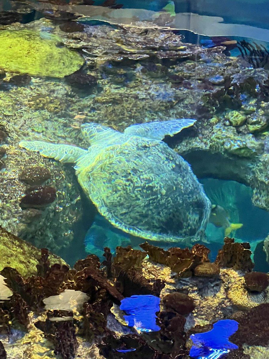 Ashley Tabor tweet media