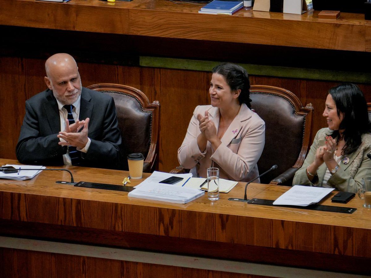 totiorellanag's tweet photo. Si nuestras abuelas pudieron ingresar al trabajo remunerado, si las mujeres recuperaron la democracia, si pudimos tener las primeras leyes de violencia y la creación del MinMujer, hoy damos un nuevo paso para la próxima generación con la #LeyIntegral en contra de la violencia✨ https://t.co/547kpDt96c