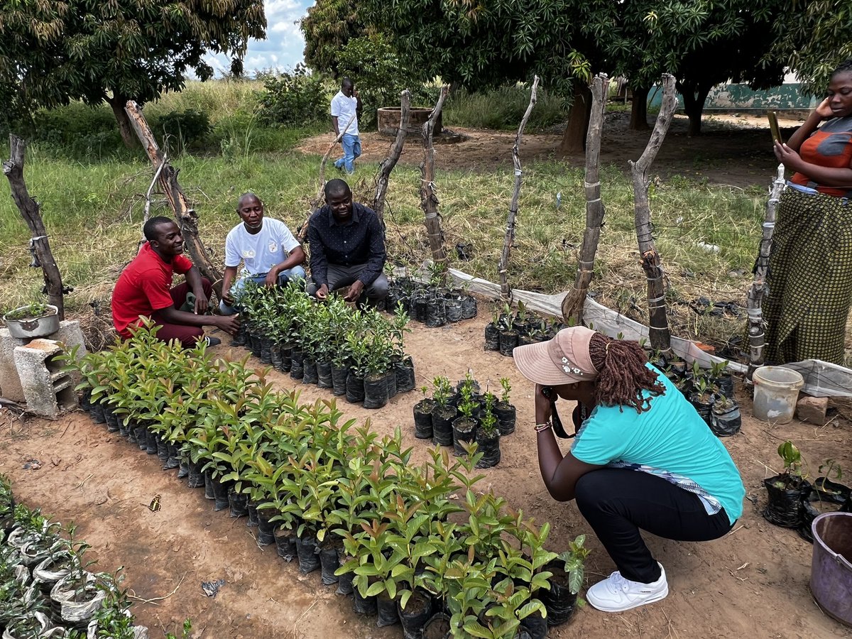 Today we traveled to Chongwe, #Zambia where we met Youth Climate Champions at Katoba Secondary School. These young people are learning about practices that contribute to #ClimateChange & helping teach their communities how to avoid them. #CRSClimateChangeFellowship