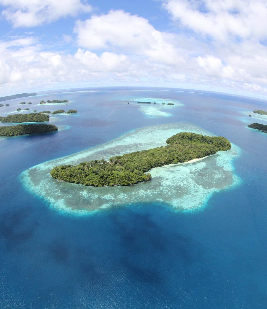 Island Conservation tweet media