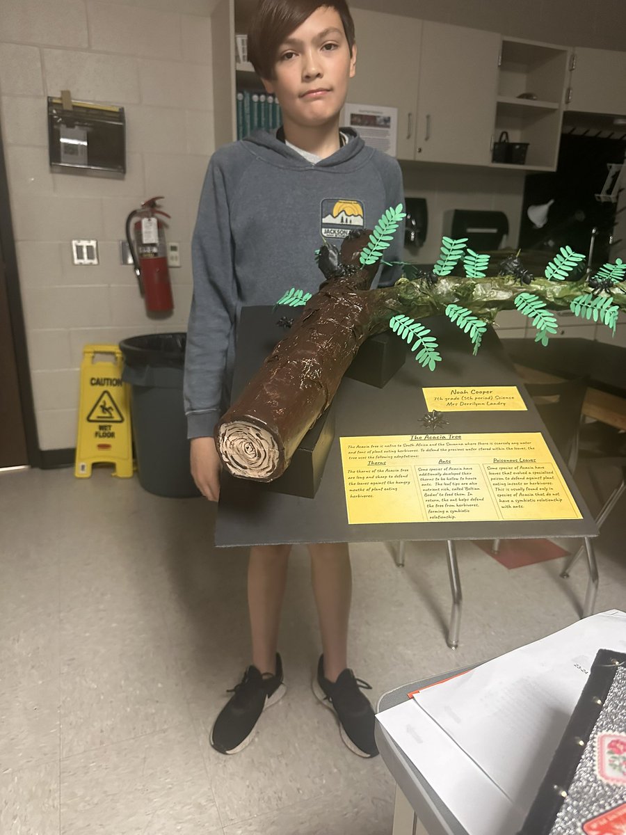 BeyondTheBellID's tweet photo. What a great way to kick off spring break! Adaptation Projects 🥰 @WMSSTEM_23 @HumbleISD_WMS #beELITEwms https://t.co/PQCYGvXX6X