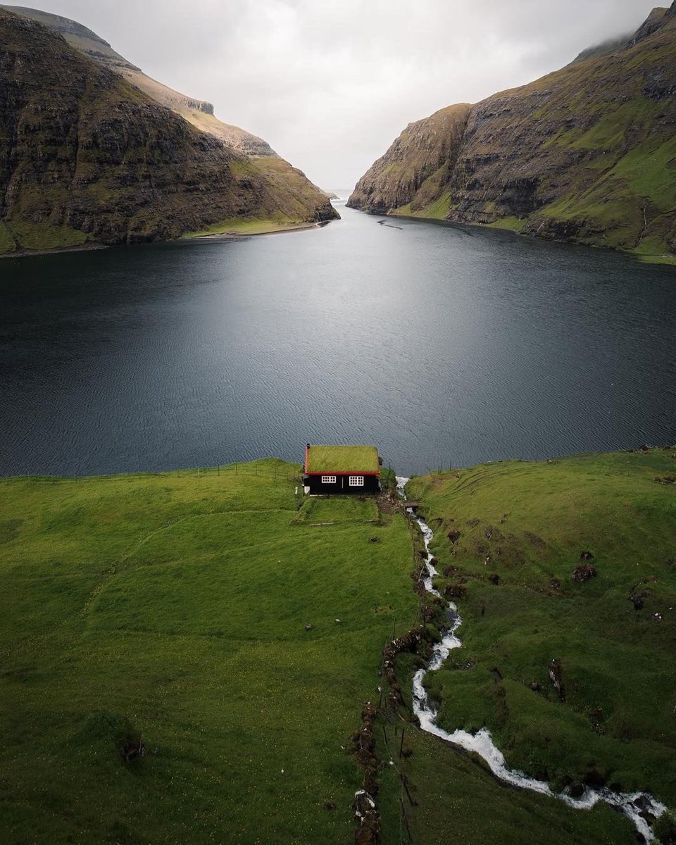 earthcurated's tweet photo. No wifi, unlimited food.

Yes or no ? https://t.co/N57bwSJsHM