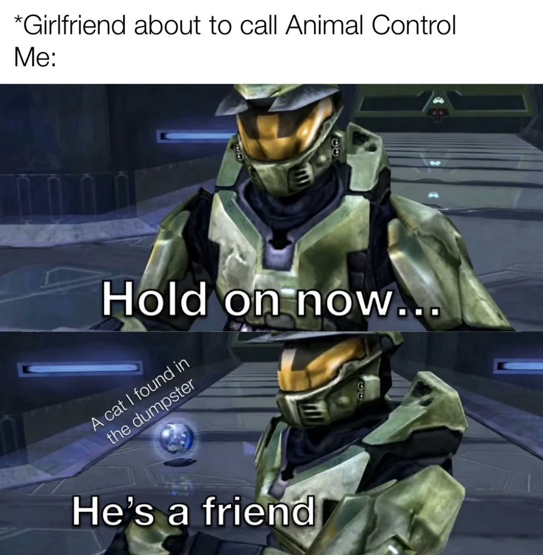 Halo Array tweet media