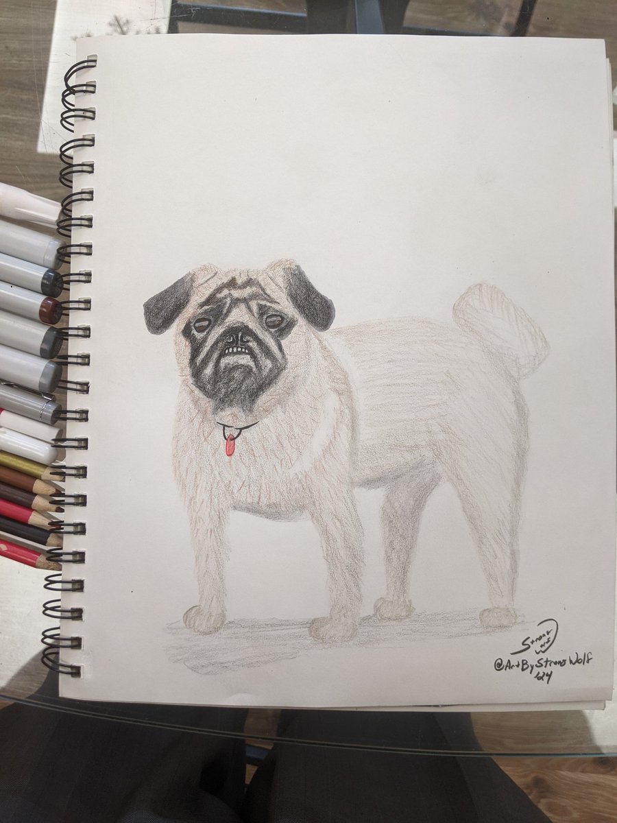 Today's pet portrait: A pug, drawn in colored pencil, with Copic and various pen highlights. #petportrait #pug #dog #dogportrait #petportraitartist #commissionsopen2024