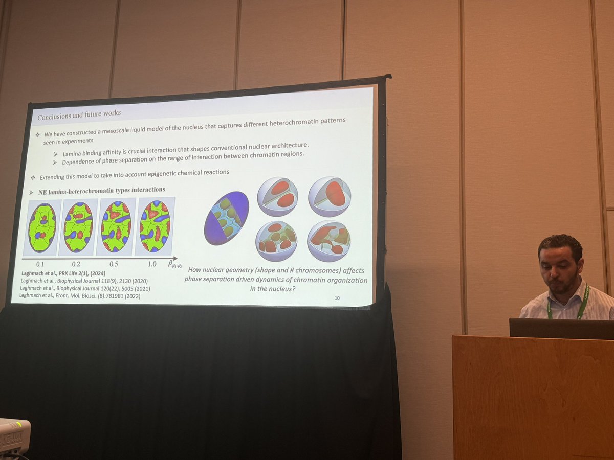 potoyangroup's tweet photo. A fantastic talk given by @RLaghmach at #APSMarchMeeting showing his recent work on mesoscale modeling of nuclear dynamics in 4D. The work is fresh off press in @PRX_Life 2024 https://t.co/wKrAZkIDEW