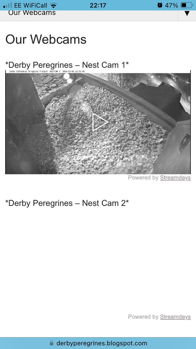 Derby Peregrines tweet media