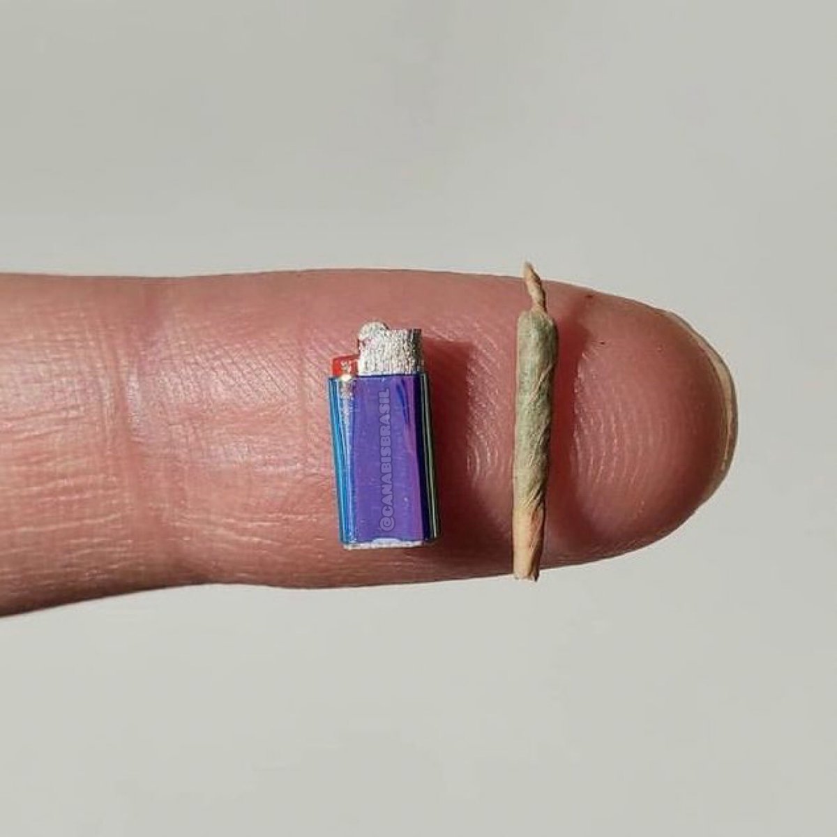 canabisbrasil's tweet photo. Ministro bolsonarista André Mendonça, afirma que 10g de maconha dá pra fazer 34 baseados. 

O baseado: https://t.co/34d9Juxw9p
