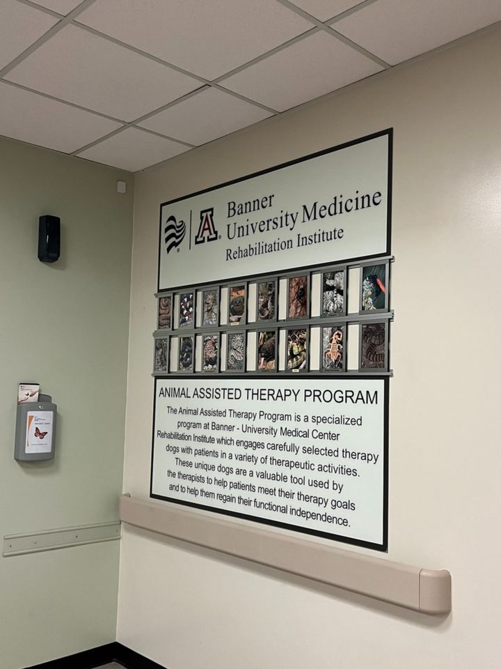 Maricopahealth's tweet photo. #WorkingTogetherWednesday: About 250-300 calls relating to spider/snake bites, accidental ingestion of chemicals, or prescriptions are made to @BannerHealth Poison and Drug Information Center daily. Our team visited to see how they respond and work with other agencies. https://t.co/DBPCKDqk5D
