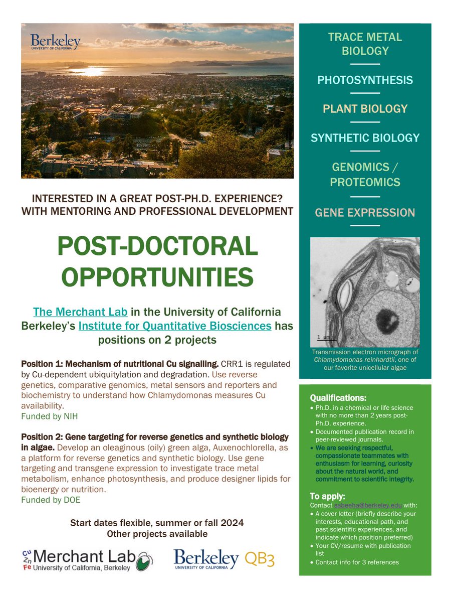 Are you interested in a post-doctoral position at UC Berkeley’s Institute of Quantitative Biosciences? Consider applying to the Merchant Lab for our projects in nutritional Cu signaling and Gene targeting in algae! Check out our flyer for more information.