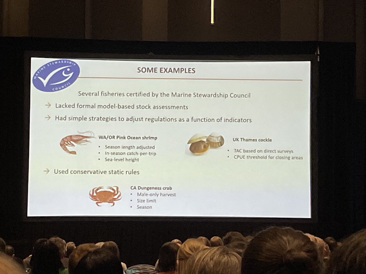 Katie Longo tweet media