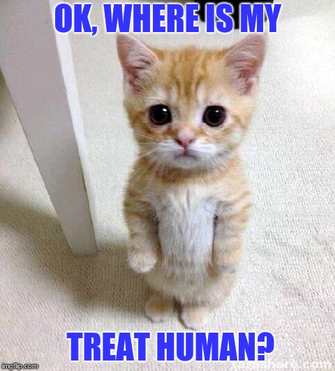No treats at 3:00AM? #MakesMeSayWhatTheFluff