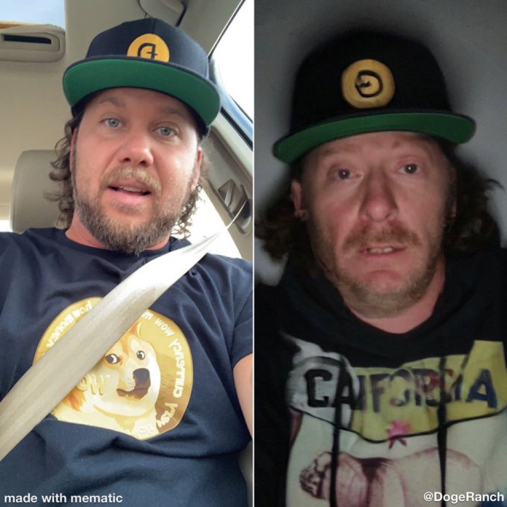 DogeRanch's tweet photo. March 4th   vs   March 5th   $DOGE https://t.co/zEcGWIDp3h