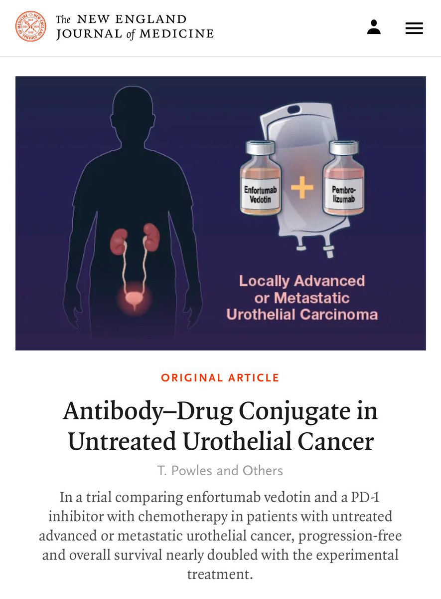 Paolo Tarantino tweet media