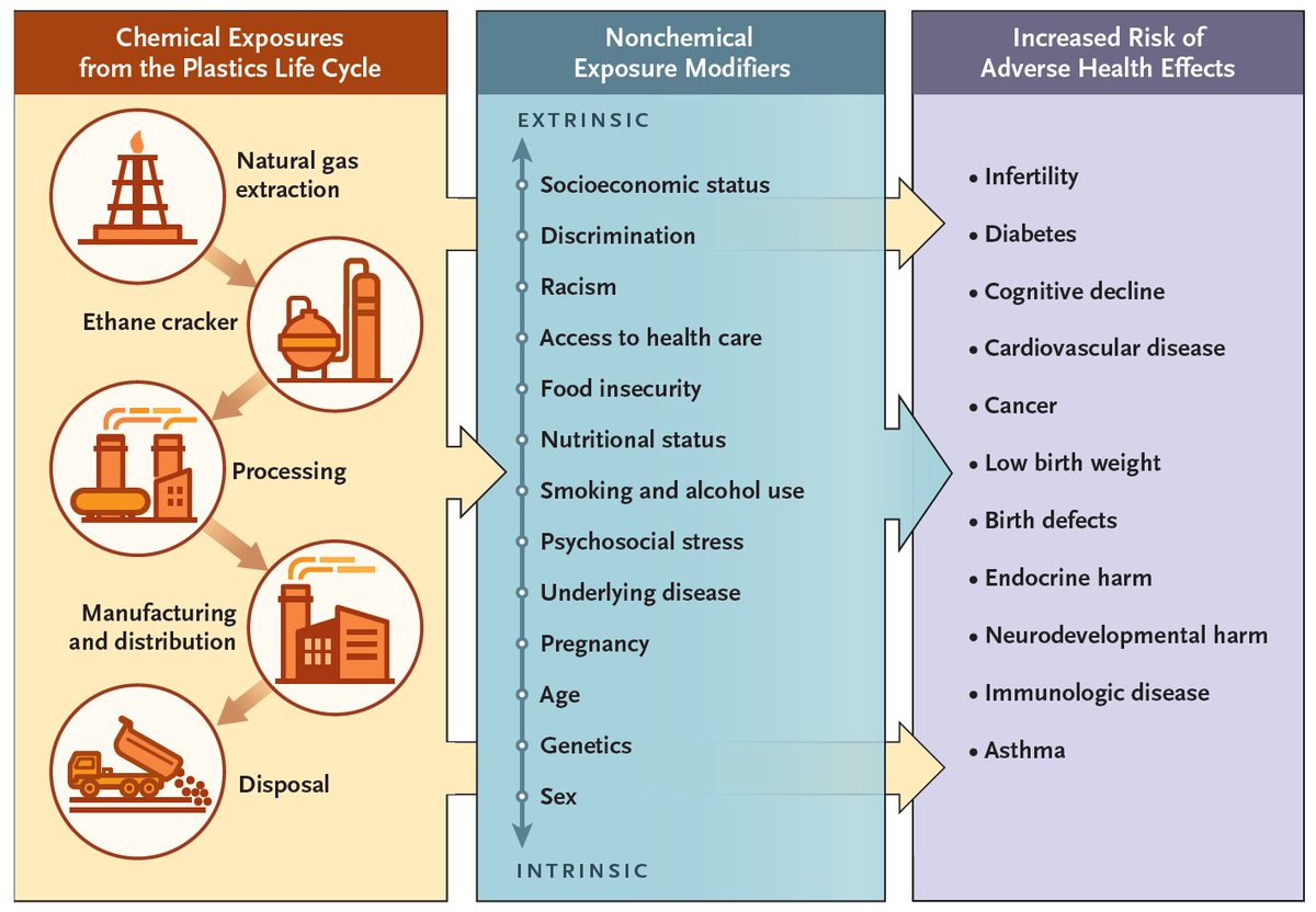 Many fossil fuel–derived chemicals found in air, water, food, and manufactured products affect hormonal function. Exposure is associated with health risks, including cancers, cardiovascular disease, and infertility. Read the full review: nej.md/3P5oE1F