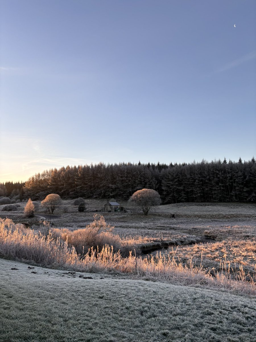 EvaFreegard's tweet photo. Some frosty shots taken doing England Peat Map (#EPM) surveys around #Kielder at the end of last year. The first time I’ve ever seen hair ice and it turns out #sphagnum might look even more pretty when frozen! ❄️🌲

#ecology #botany #NCEA #NE #Northumberland #peatlands #hairice https://t.co/KgsXuIvs6P