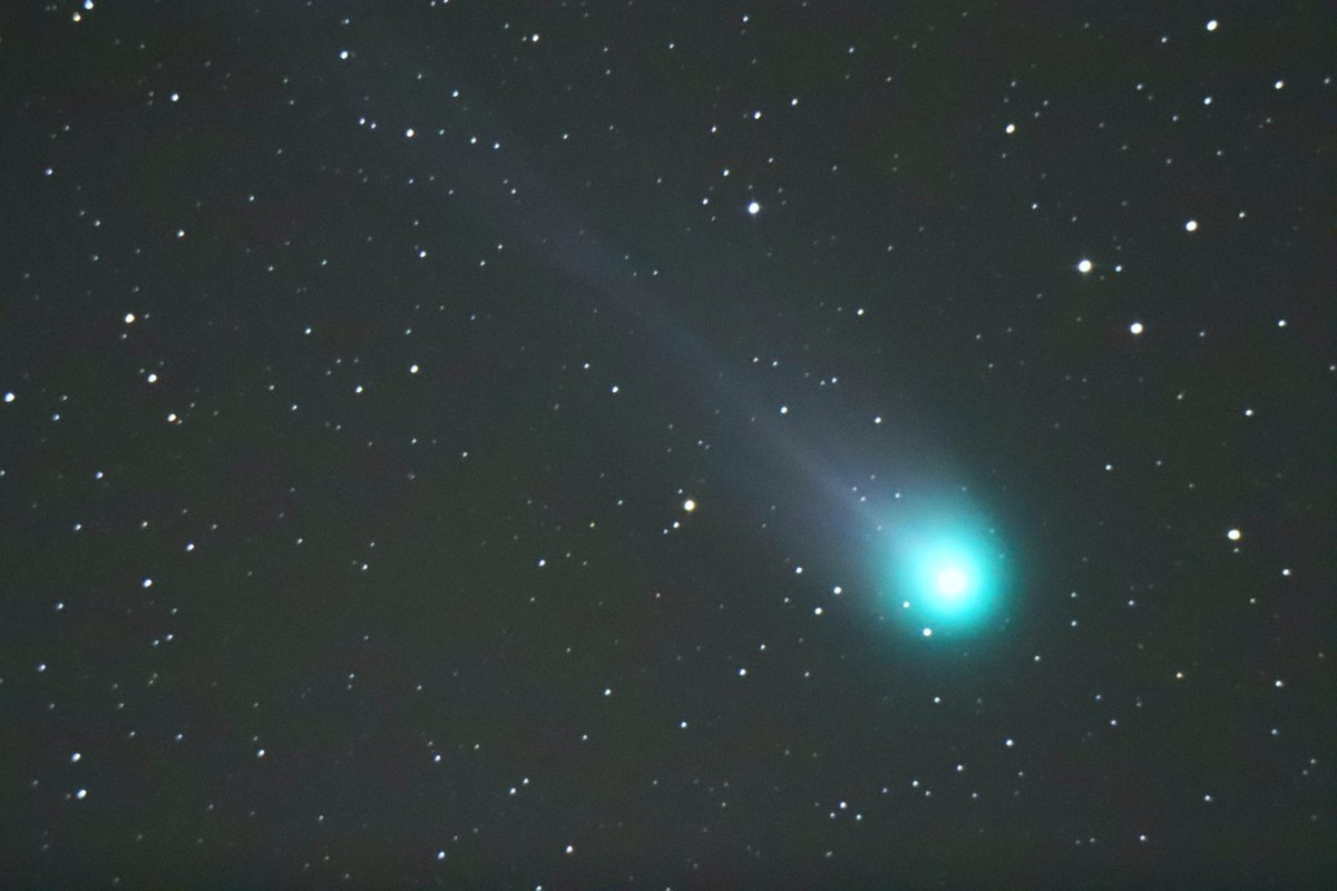 Cracking clear night :-) 6 March 24 #Ness #IsleofLewis #Comet #P12/Pons-Brooks 25sec 305mm newt f4.5 single image.@VirtualAstro@bbcskyatnight@StormHour@chunder10