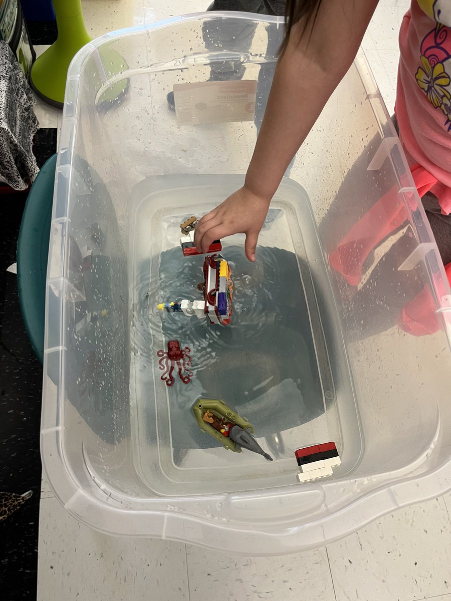 Christina Capone tweet media