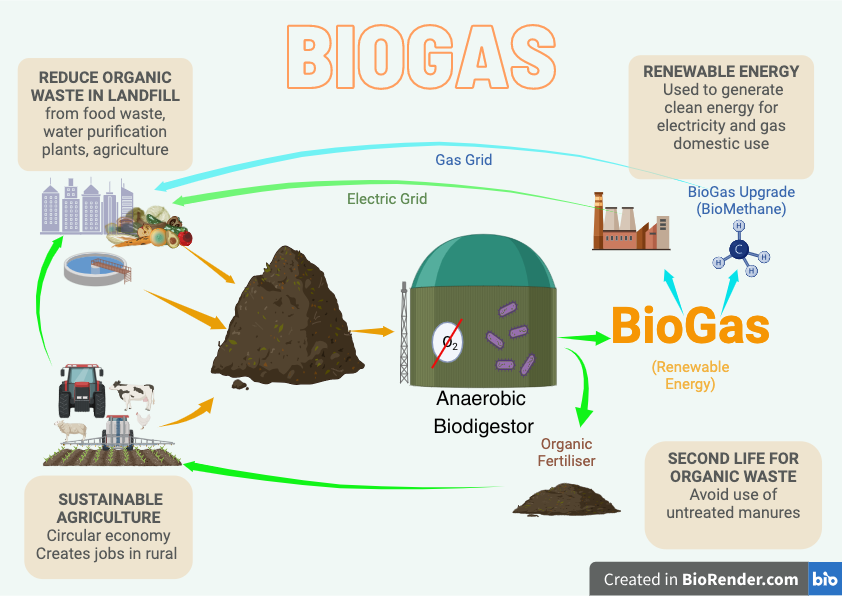 María Lestón Caamaño tweet media