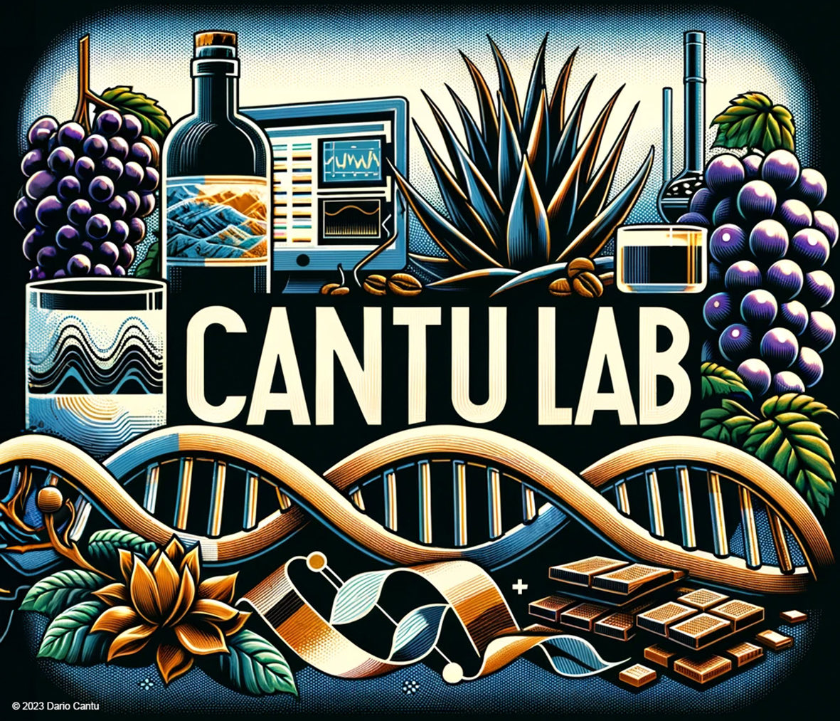 At <a href="/ucdavis/">UC Davis</a> to work with Dario Cantu and Manon Paineau on our diploid genome assembly project of grapevine downy mildew : so glad to be invited to the lab meeting gathering Mirella, Jadran, Noé, Mélanie, Rosa and Manon.