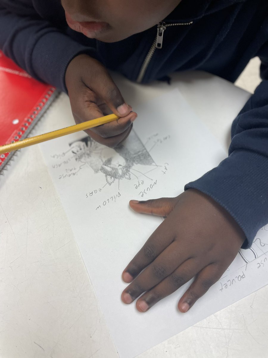 MrsSMendozaCPE's tweet image. Q:What do you see in the picture? 
S: I see ______. 
Students practice asking Qs AND responding to Qs. #QSSSA 
#PWIM for vocab challenge!Then we read the book. We are listening, speaking, reading &amp;amp; writing. And building confidence! @Seidlitz_Ed #ELsCan #MLLs