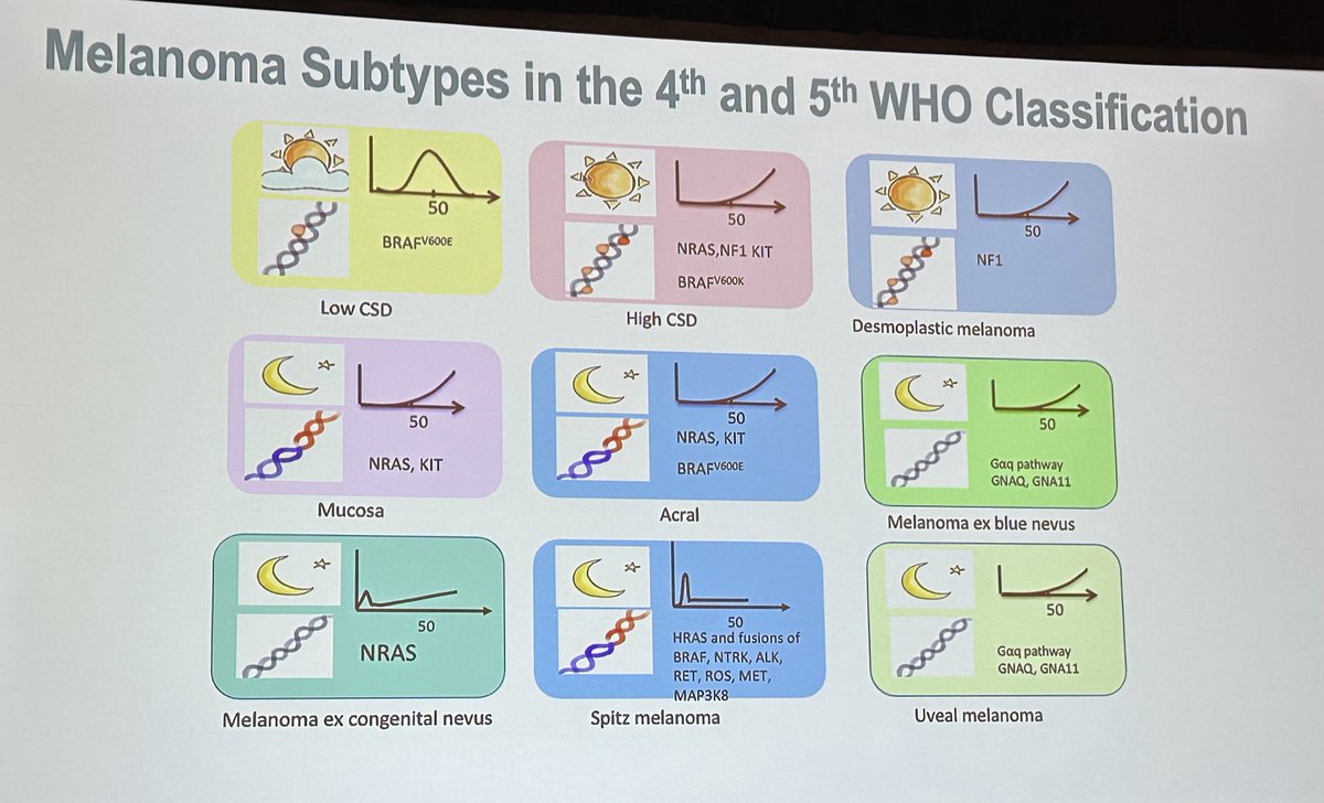Melanoma subtypes reviewed by @borisbastian at the #ISDPSanDiego <a href="/IntSocDermpath/">Int Soc Dermpath</a>