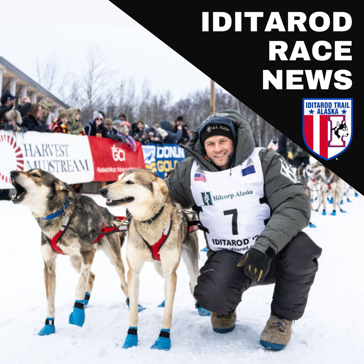 Iditarod News: Dallas Seavey receives a 2-hour time penalization will added to his 24-hour layover, as per rule 34, it has been determined that the animal was not sufficiently gutted by the musher. Read full release: ➡️ iditarod.com/dallas-seavey-…