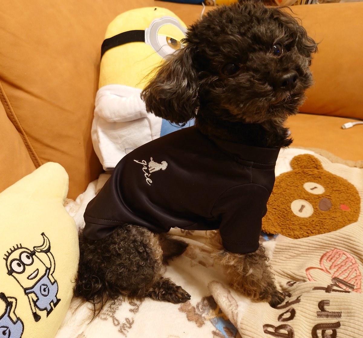 Laki_mix55's tweet image. いつも好きなキャラクターの服ばかりで、初めてシックな色目のウエア𓃡
身体が黒なので一体化（笑）
似合うかしら？
血行促進効果があるそうですよ。

#RADICA
#IFMC.
＃グリィちゃんねる
#グリィ