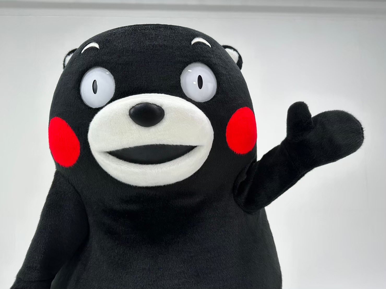くまモン【公式】 on X: くまモン【公式】 on X: