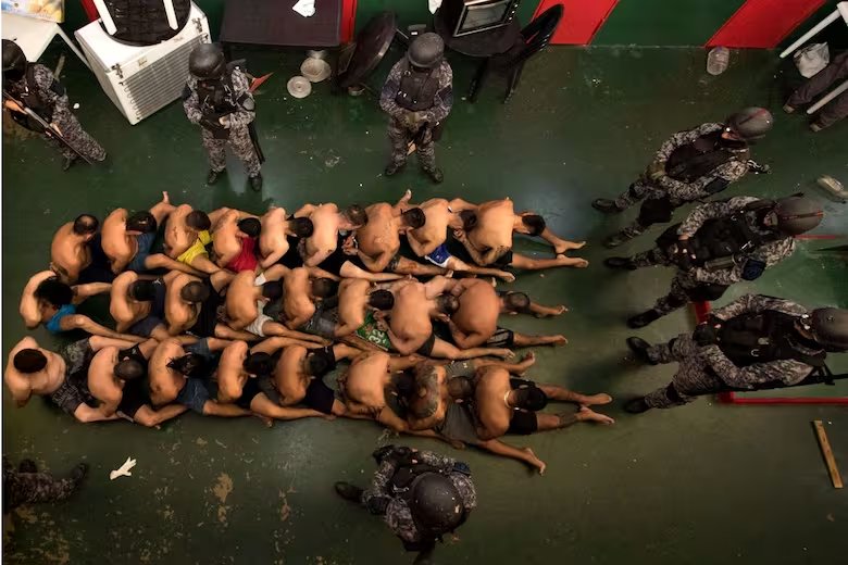 Carlo Martin tweet media