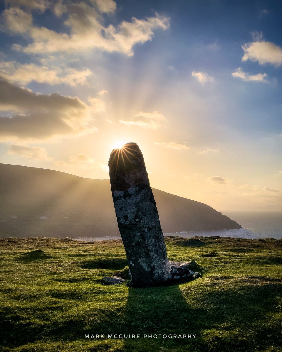 Mark McGuire tweet media