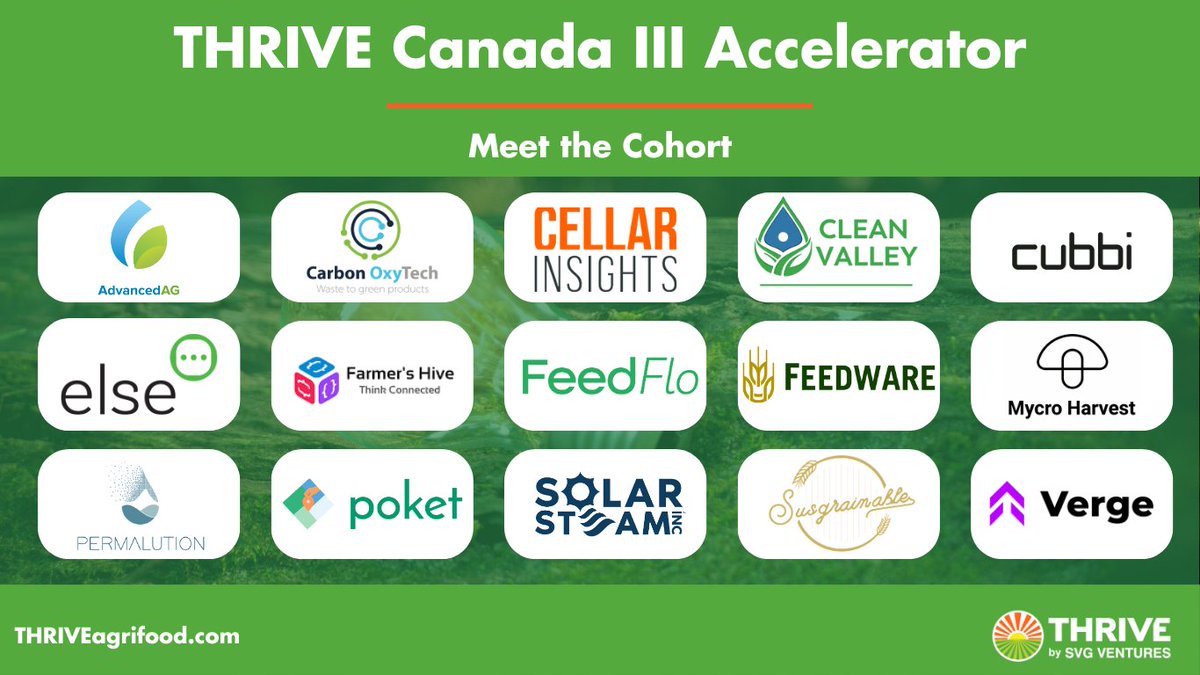 THRIVE AgriFood tweet media