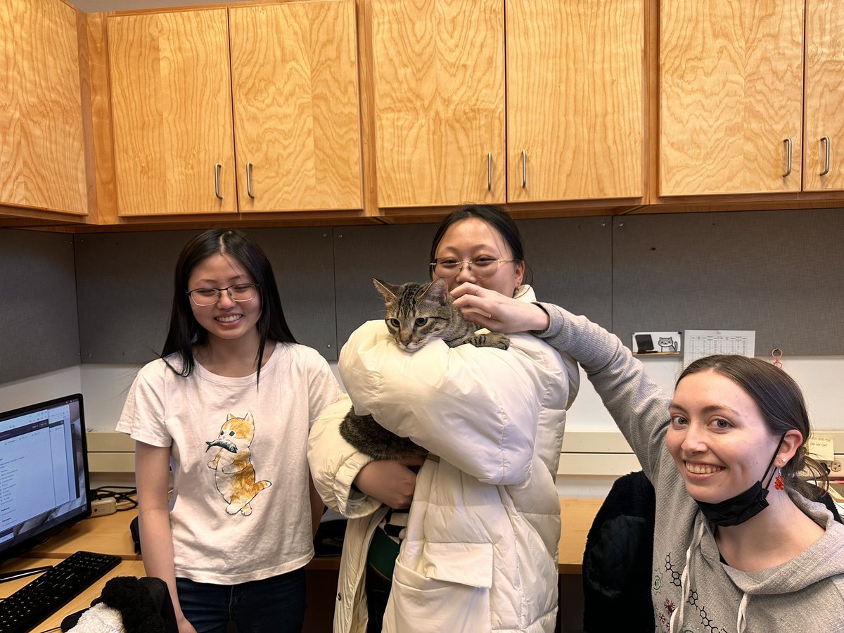 Loki, the cat visited our group today to learn about meow-chine learning! He is one of the seven cats adopted by our group members. @ChBEIllinois