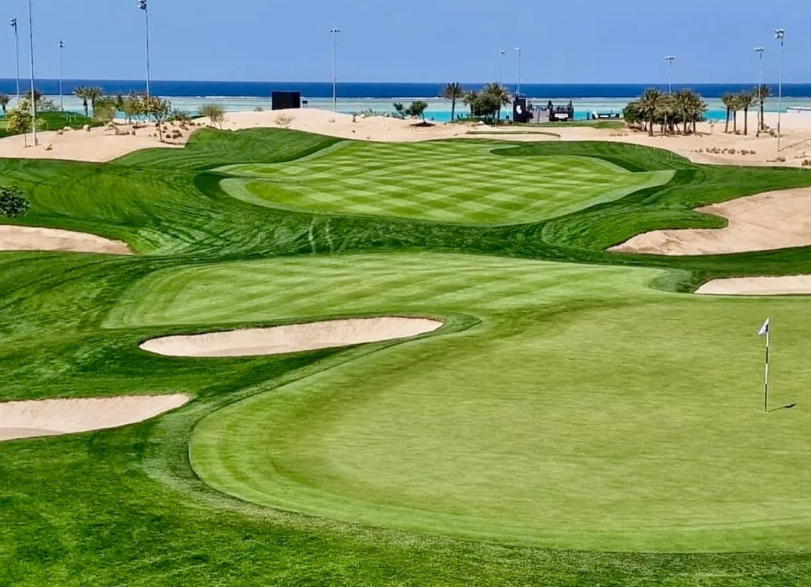 European Golf Design tweet media