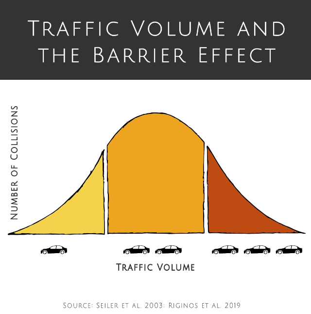 This chart from Yellowstone Safe Passages does a good job illustrating a key #roadecology concept: High traffic rates can *reduce* roadkill while simultaneously exacerbating the barrier effect, since animals (or at least large mammals) often don't attempt to cross busy highways.