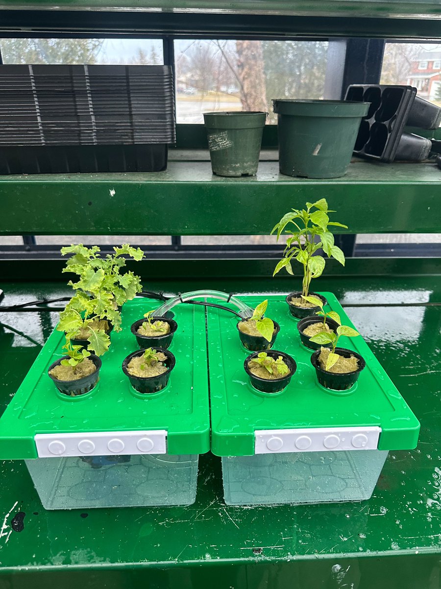 Jake Coleiro tweet media