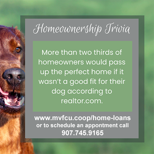 MVFCUak's tweet photo. Have you found that perfect home that passes man's best friend and your approval?

🏡  Our Residential Lending Team is here to guide you through the financing! 🗝️💙  Call us at 907.745.9165 or visit https://t.co/hIGEKyx4Rc to get started! 

Equal Housing Lender https://t.co/Q87lZGdPHH