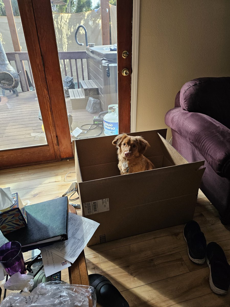 Special delivery 🥰