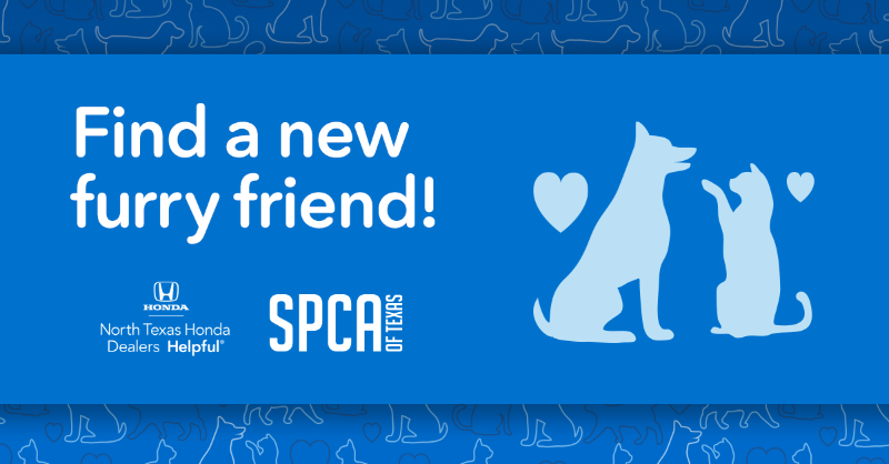 Looking for a fluffy friend? Drop by our pet adoption event at the SPCA of Texas on March 16th. Stay tuned for more details. 🐶🧢