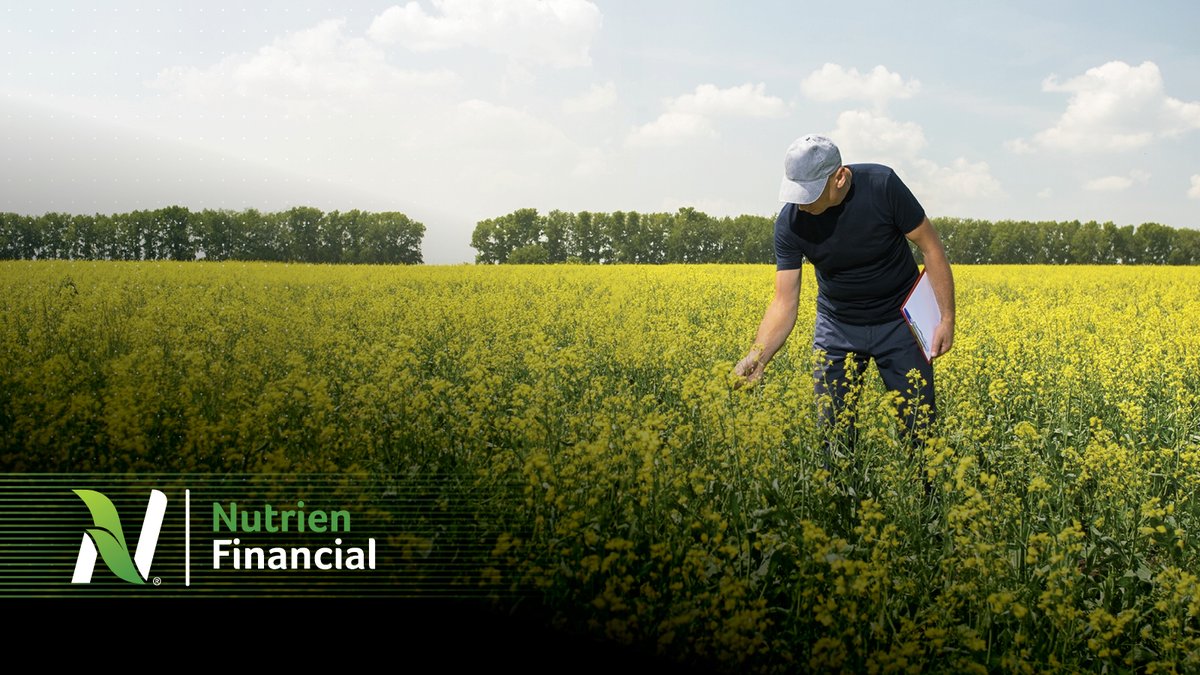Economic incentives can be an important catalyst to drive change. That's why we're proud to collaborate with Scotiabank on a new 4.99% APR financing offer that complements our Sustainable Nitrogen Outcomes program. Learn more at bit.ly/3UBs13I