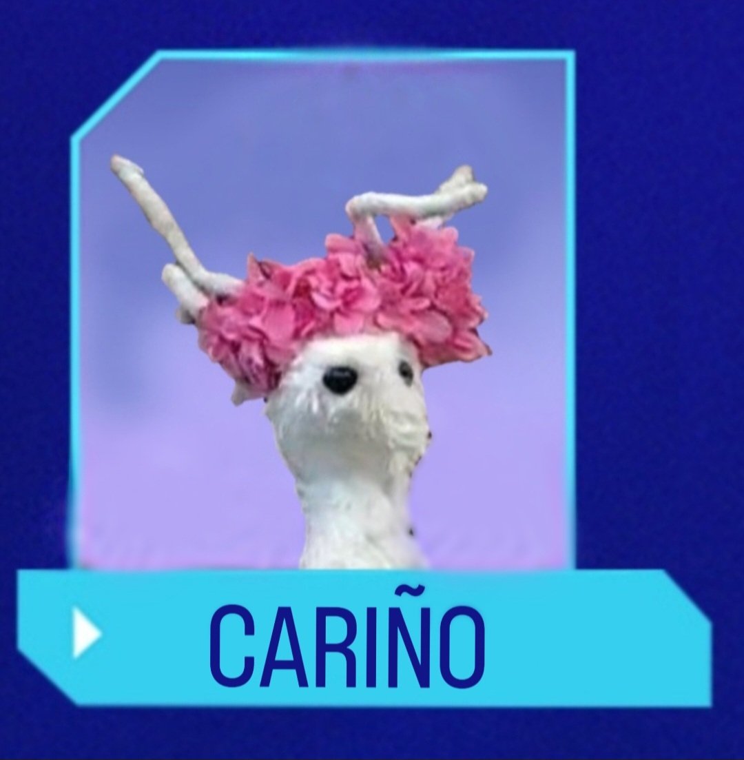 solzianation's tweet photo. Cariño ya dio más contenido que el 90% de la casa. 

CARIÑO A LA FINAL

#GranHermano #GranFuria https://t.co/ZjwgQlzj8f