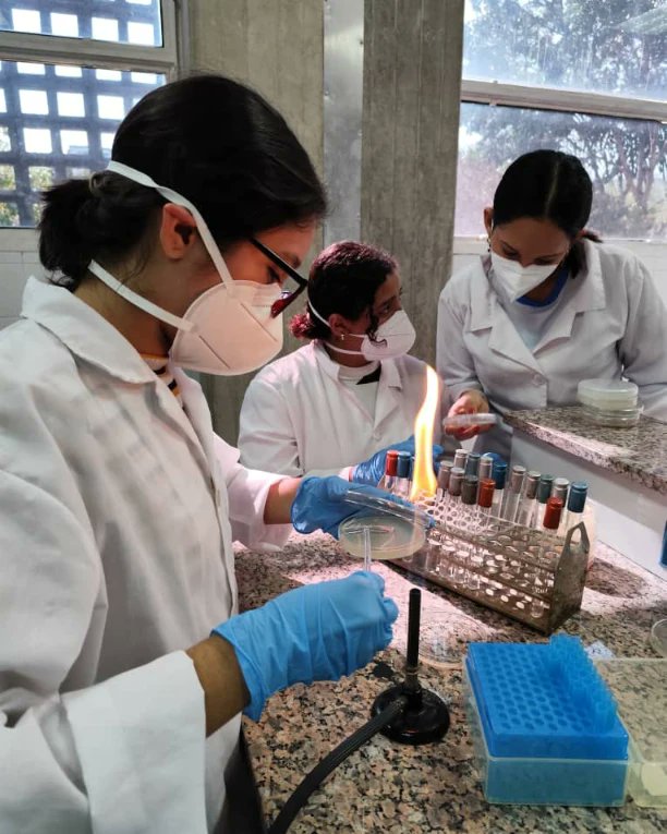 Noticienciasucv's tweet photo. Está semana se está desarrollando la segunda cohorte del curso Técnicas Básicas de Microbiología: siembra y aislamiento de microorganismos. https://t.co/bcKXHhzp0g