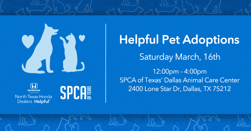 These pets are looking for their fur-ever homes. We’ll be at the SPCA of Texas' Dallas Animal Care Center at 2400 Lone Star Dr in Dallas from 12 to 4 pm. Come say hi!