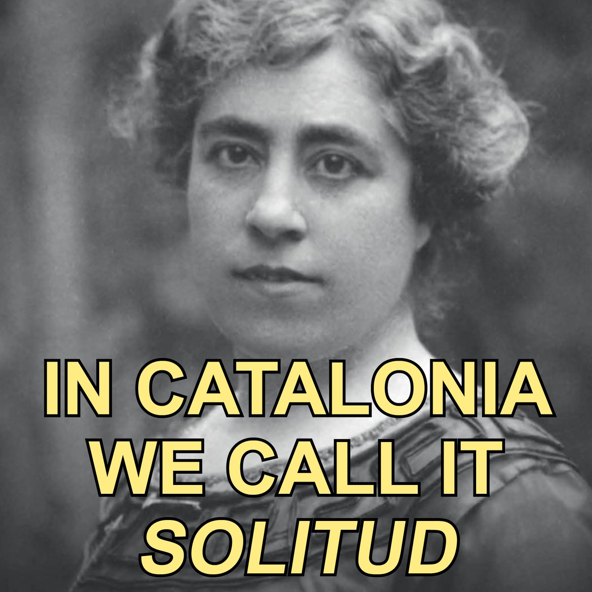 Ja s'ha fet, <a href="/amemsillegim/">amemsillegim</a>?